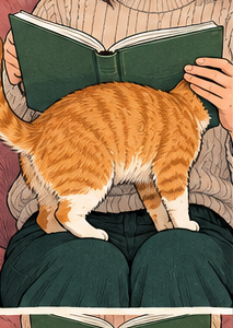 Separador · Lectura con gato naranja